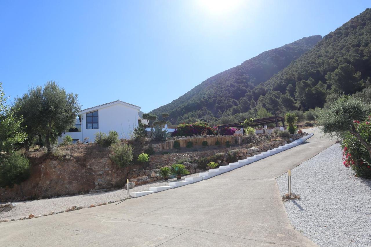 Casa Arts Guest Rooms Alcaucín Kültér fotó
